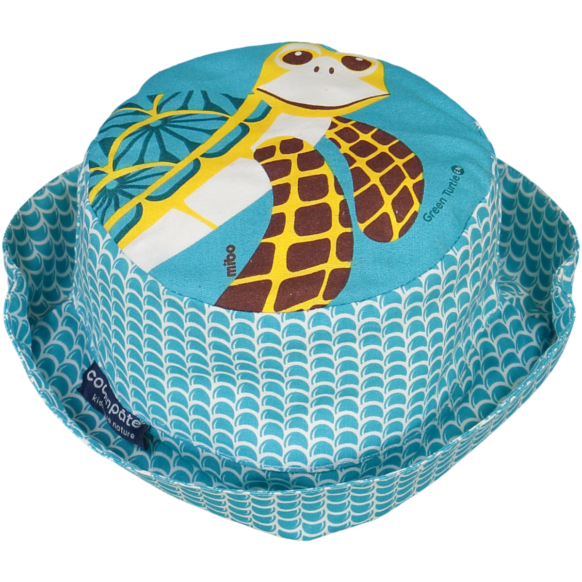 Bob TORTUE
