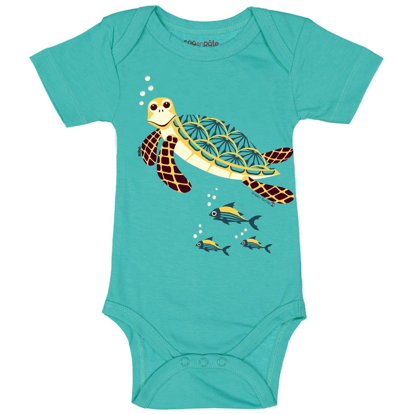 Body TORTUE