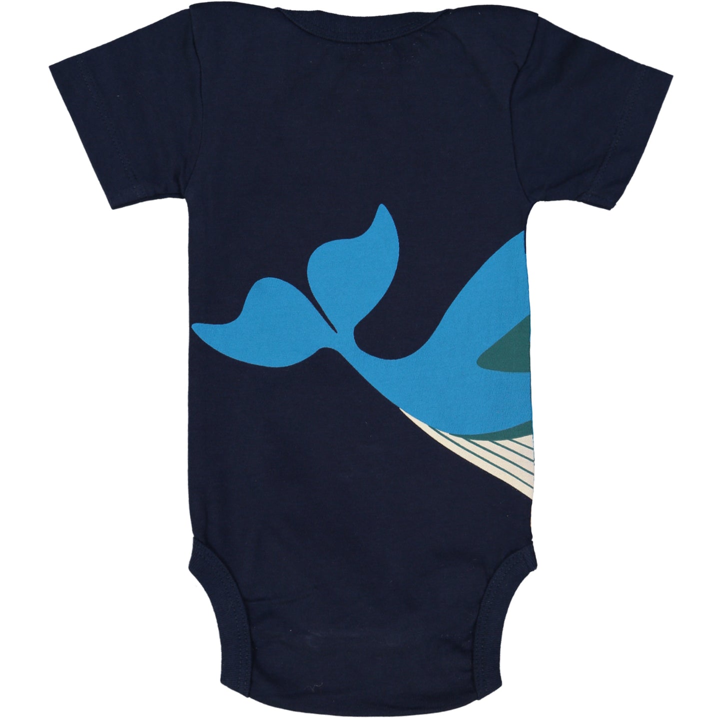 Body BALEINE