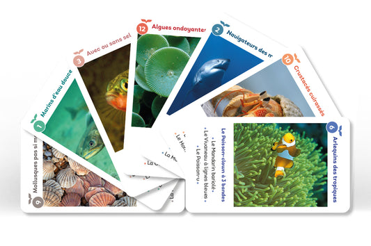 Jeu de famille Ô LES POISSONS (dès 6 ans)