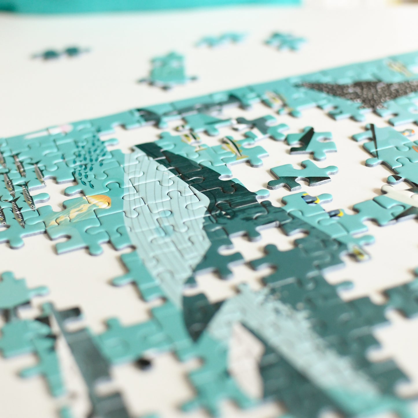 Puzzle 500 pièces La vie des océans